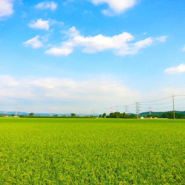 有限会社メテックでは田んぼを整理したいというご要望にもお応えいたします