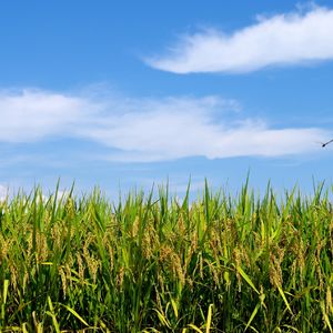 マイホームや駐車場用の土地をお探しでしたらぜひご連絡ください