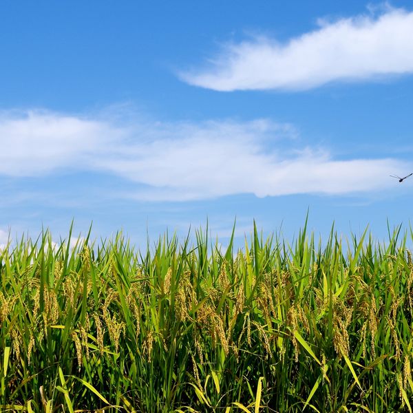 マイホームや駐車場用の土地をお探しでしたらぜひご連絡ください